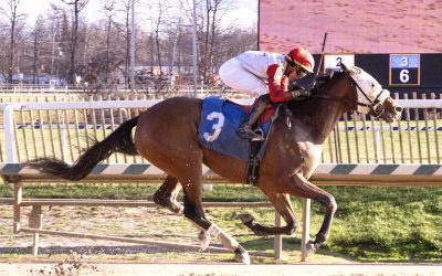 15 Midlantic-breds among Triple Crown nominees