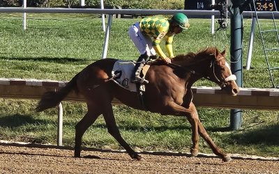 Md-bred Beautiful Blome takes shot at Busanda