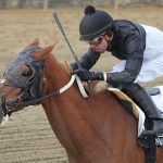What they said: Quotes from Laurel Park stakes winners