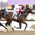 Laurel Park picks and ponderings: January 25, 2025