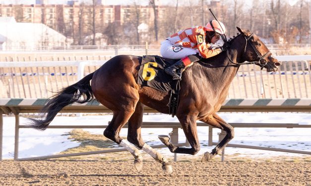 Wild Vine posts Laurel feature upset