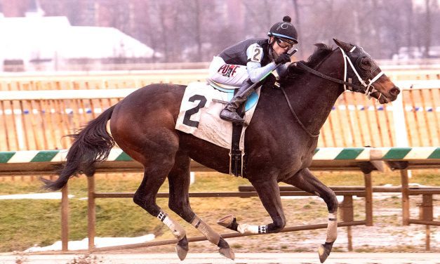 Mr. Antonelli scores in Laurel Park feature