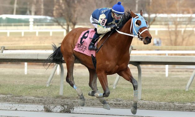 Irish Maxima tackles Fritchie in career-best form