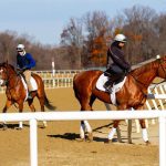 Fair Hill Training Center
