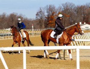 Fair Hill Training Center