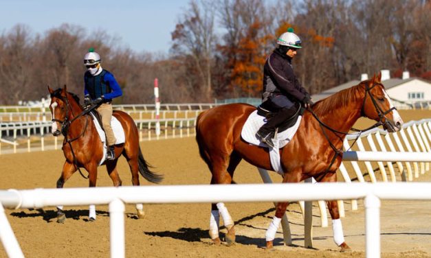 Fair Hill to get new Tapeta surface