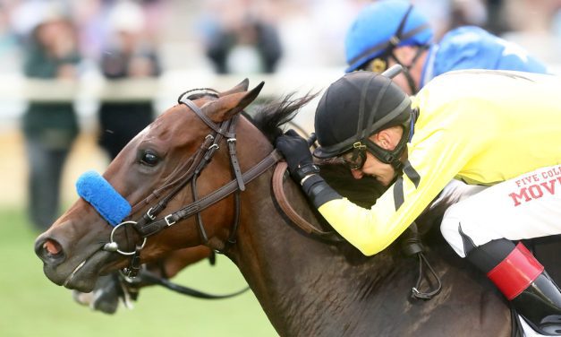Catching up with Trevor McCarthy