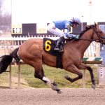Laurel Park picks and ponderings: February 9, 2025