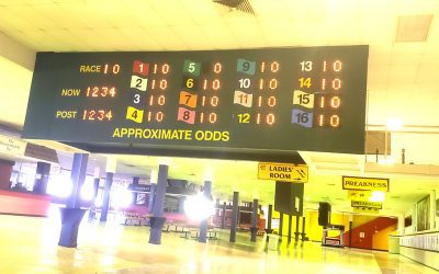 Wagering handle up slightly in May