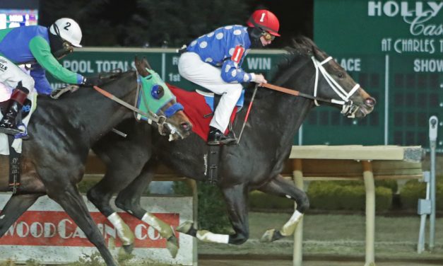 CT: Moonlit Notion favored in Coin Collector