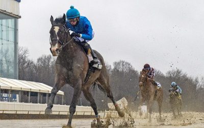 Allard considering next move for Quint’s Brew