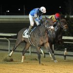 April Midlantic stakes schedule