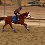 Charles Town: Latest jockey and trainer stats