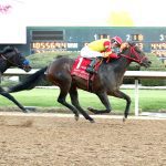 Global stallions app adds new feature