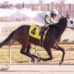 Pay Billy hoping for scratches in Private Terms