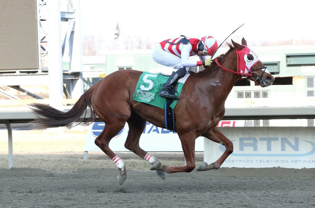 Parx: Burner Account stuns in Main Line