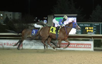 “Big, happy” Hammer leads way for Gazzier barn