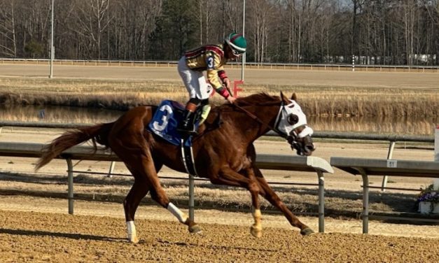 American Promise dazzles in Virginia Derby