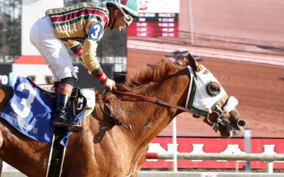 Preakness Profile: American Promise