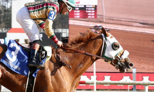 Preakness Profile: American Promise