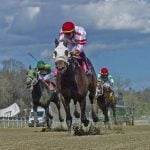 VIDEO: Charles Town weekend highlights