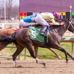Pyrenees seeks to defend Pimlico Special title