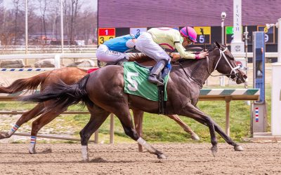 High Paf hopes to step up in Miss Preakness