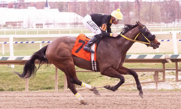 Laurel: Discreet Ops returns running to take feature