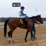Charles Town picks and analysis: May 3, 2025