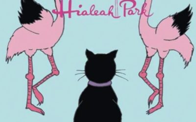 The cat, her human, and the horse: Roadrunner’s tale