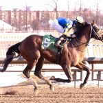 Md. Racing Commission OKs Maryland-Virginia stakes
