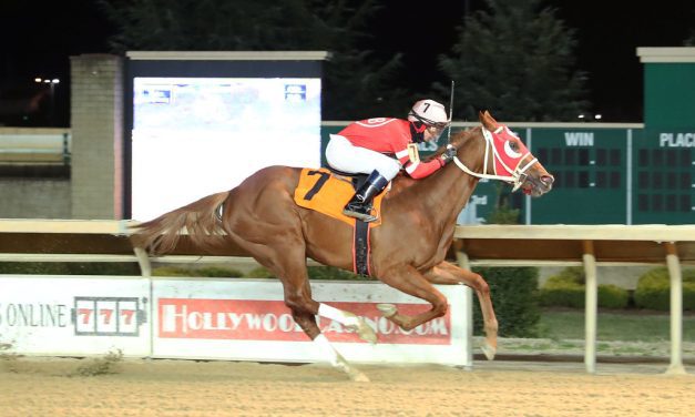 Country Cherry could be next Brown-trained star