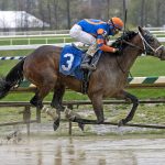 Triple Crown: Lexington Stakes picks and analysis