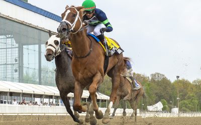 Complexity Jane scoots to Weber City Miss upset