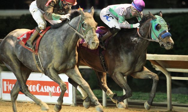 CT: Banner weekend for breeder Jim Miller