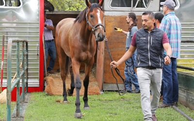 First horses arrive as Monmouth Park stable opens