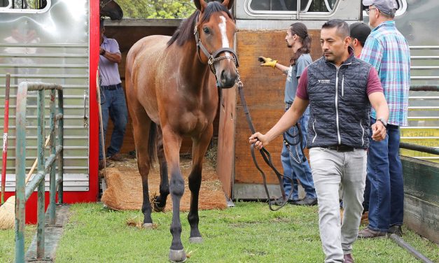 First horses arrive as Monmouth Park stable opens