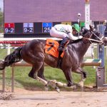 Derby trail: American Promise has final major move