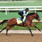 Updated Kentucky Derby odds