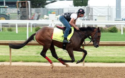 Calm before the Kentucky Derby storm at Churchill
