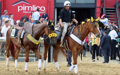 Pimlico: From Preakness pearls to everyday whirls