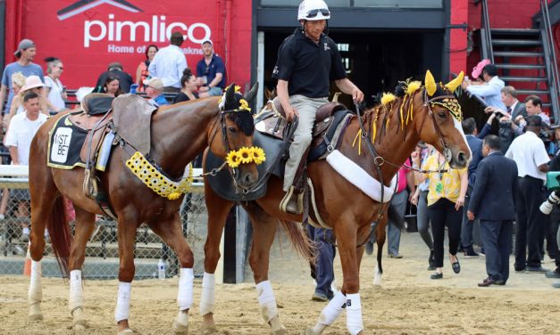 Pimlico: From Preakness pearls to everyday whirls