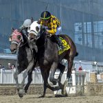 Journalism to run in Preakness