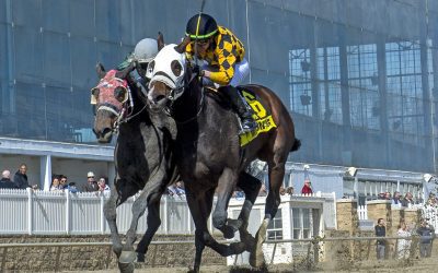 Evenly matched field set for G2 Black-Eyed Susan