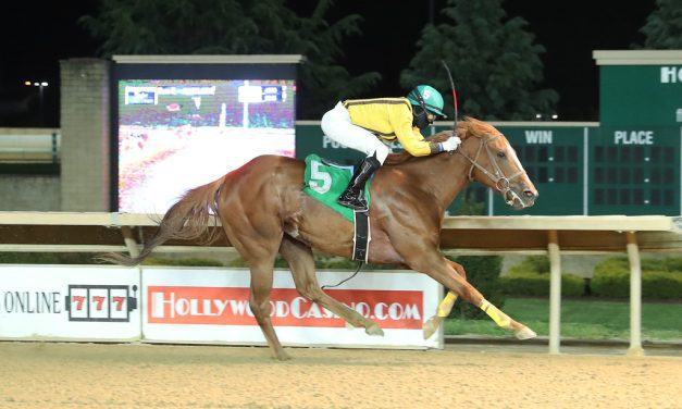 Allformenoneforyou means plenty for her young breeder