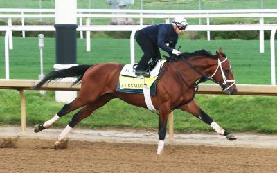 Journalism installed as Preakness favorite