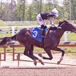 Laurel: In My Memories recalls winning ways in feature