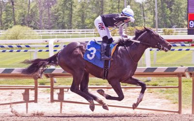 Romeo takes aim at Tremont