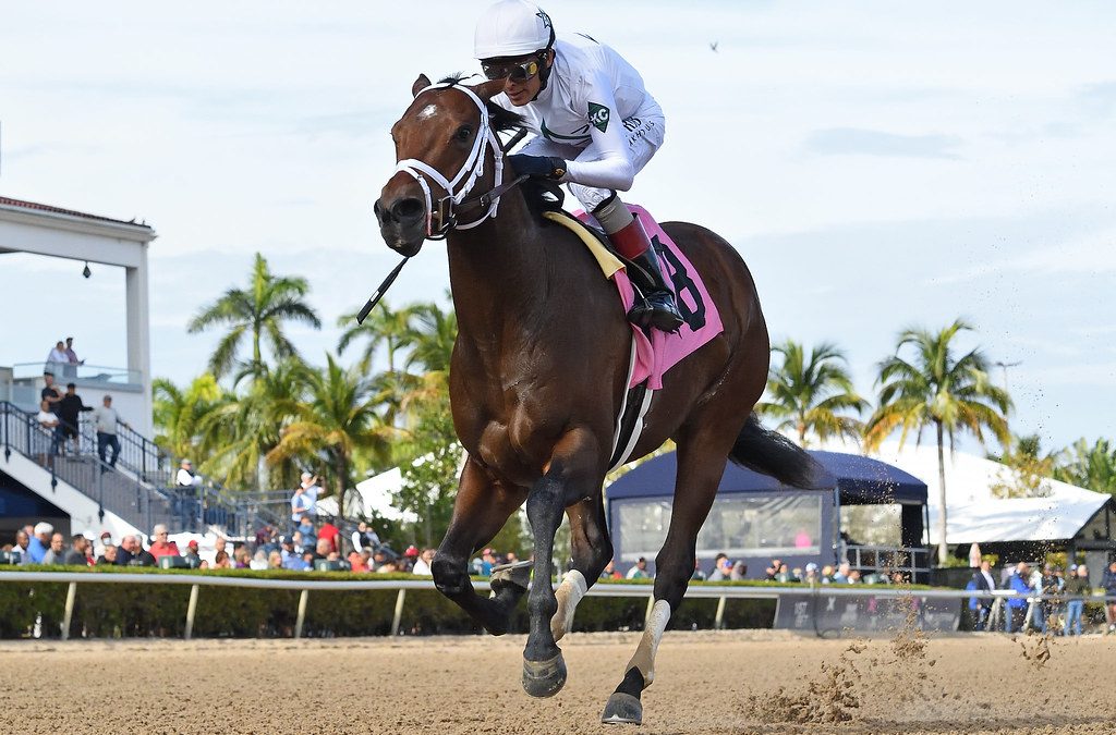 Preakness: Pletcher “happy” with River Thames