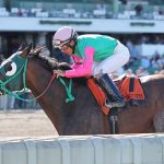 Evenly matched field set for G2 Black-Eyed Susan